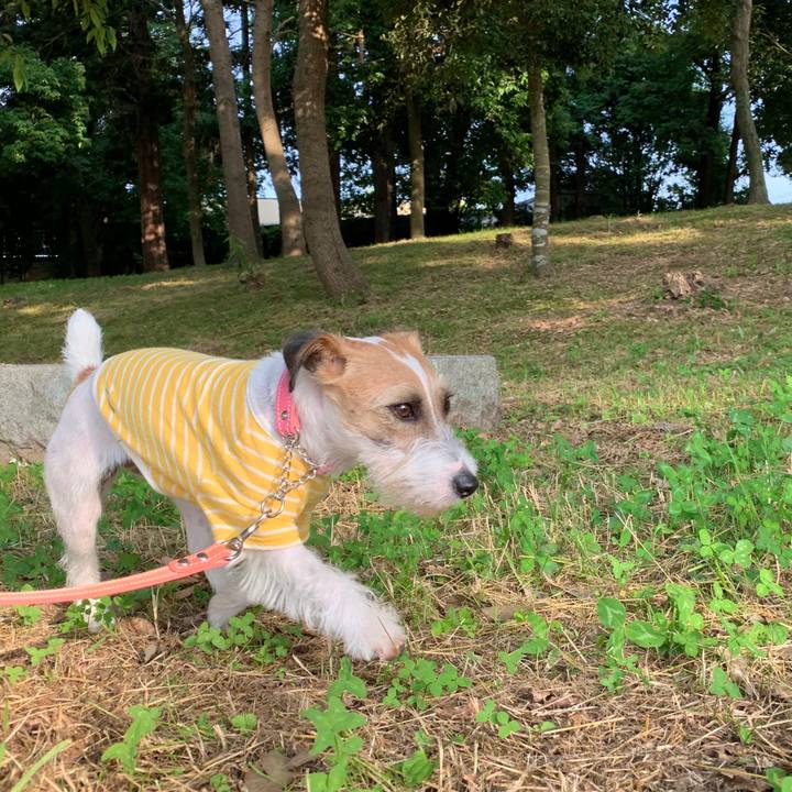 42ae0a3f d696 4e58 885d f18030c3aec0 1591695255136