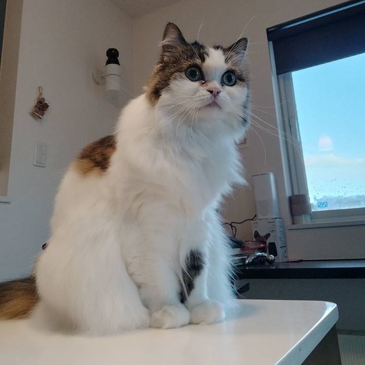 42ae0d79 06f2 4816 98c4 d312595c9b16 1765321467035