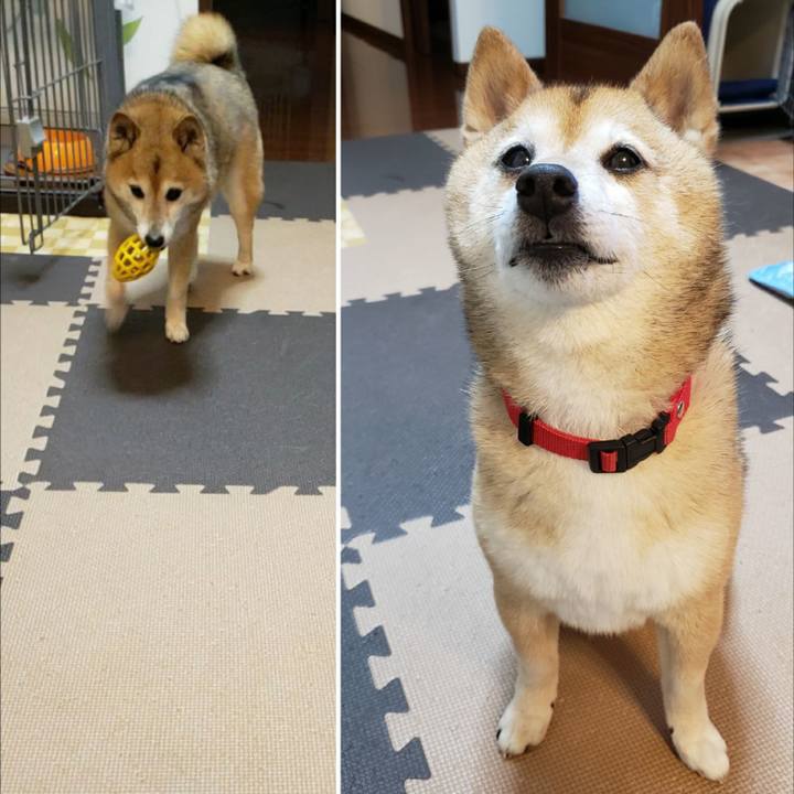 42ae43f7 c6cc 49df 9c33 e25a37f33504 1622639405687