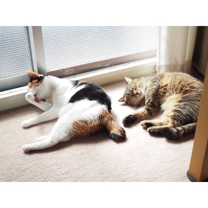 42ae507c ff53 4172 8331 ab5c4fd38dec 1521068032711