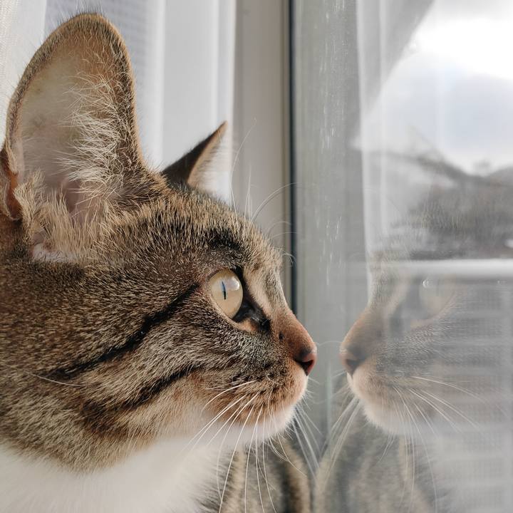 42ae77f3 c573 4cc5 9381 d2833a22e9c6 1677364918526