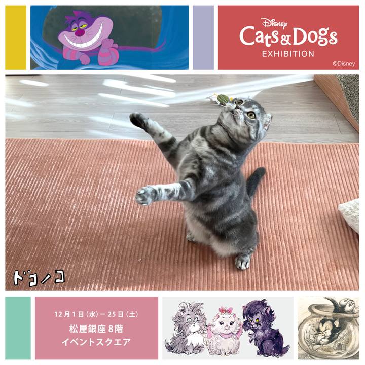 42ae7ccf a546 43e9 907d 11aed6ac73f6 1639314851293