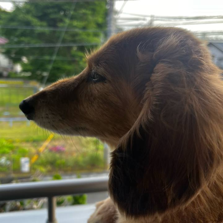 42aebe34 f894 4feb 832e a0be8cda841a 1656337274109