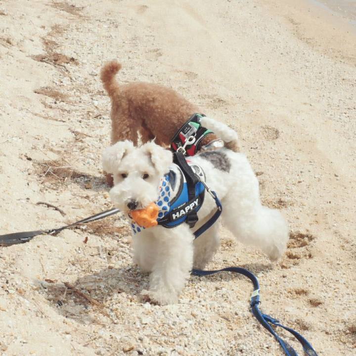 42aebe59 05bd 47a4 a4b1 4b4a8428db0b 1522560613707