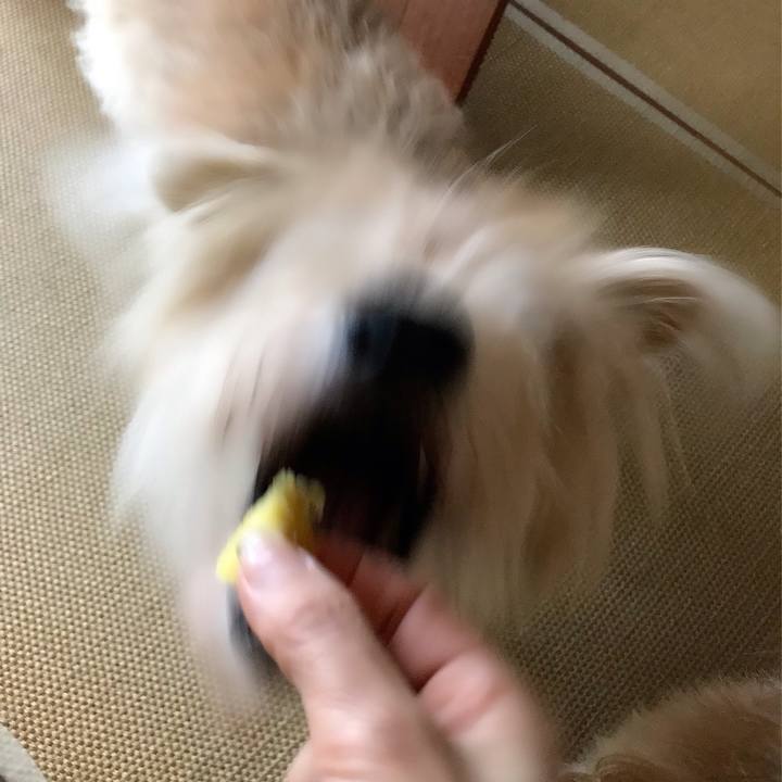 42aec45b 4bfb 4705 a11e 04c103da8b45 1634092908680