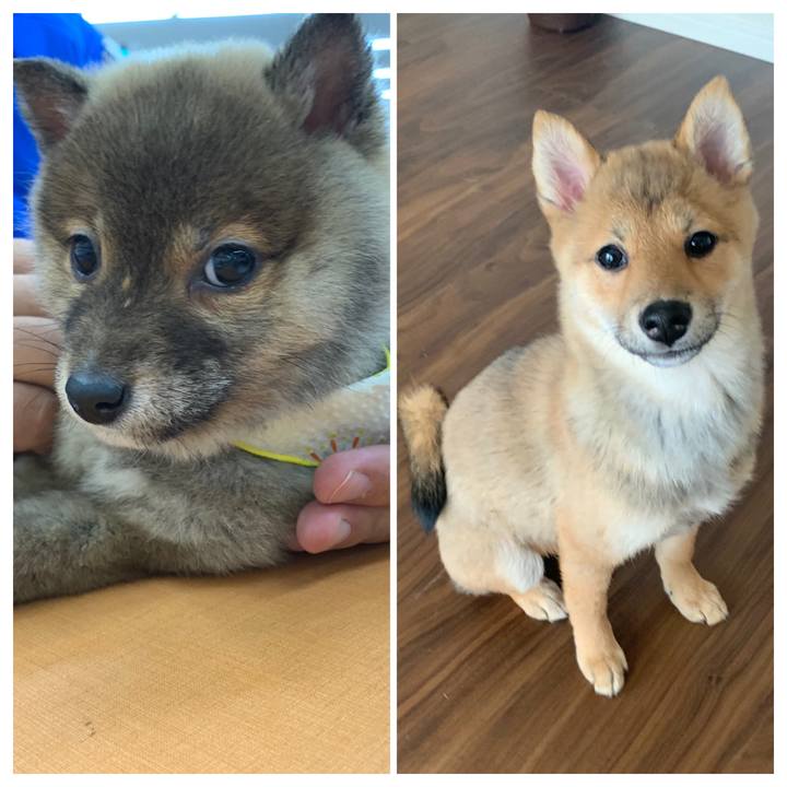 42aecb05 d345 4985 bd32 9ce9d48032bd 1621288193887