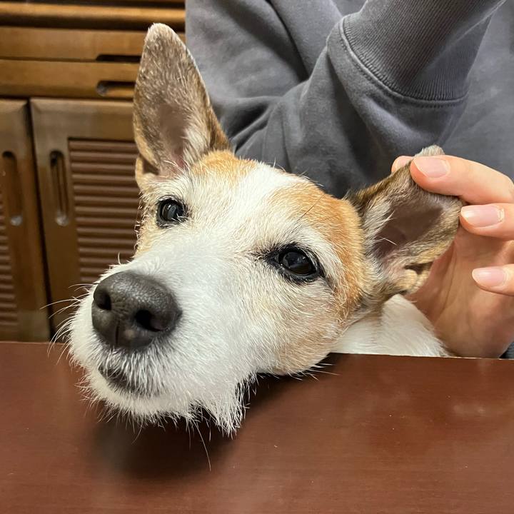 42aeeae8 7193 4762 9b9e e4ab26e4ceec 1679009403602