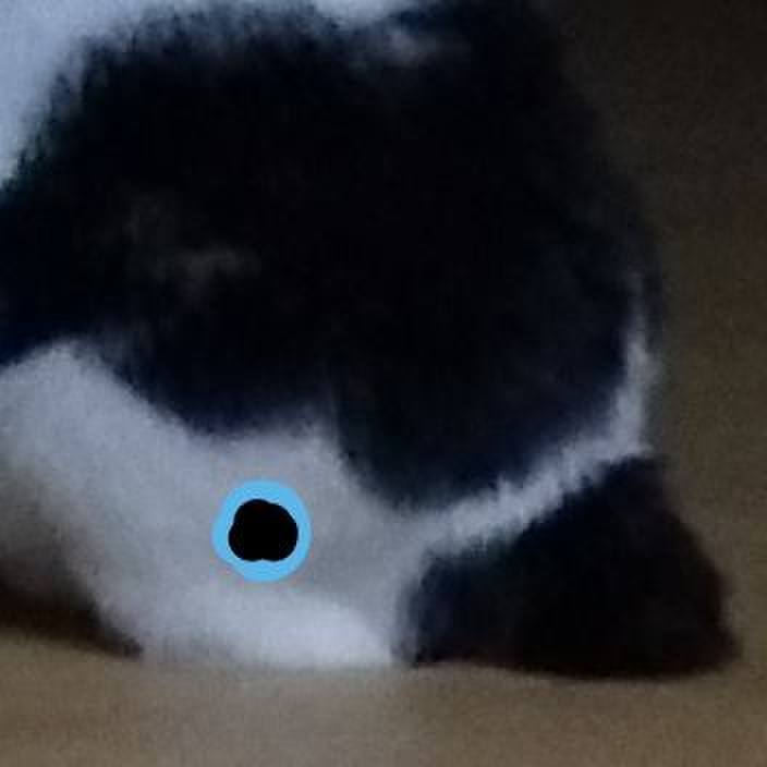 42af1dee 1499 4431 a07b 06de144ac390 1563362634565