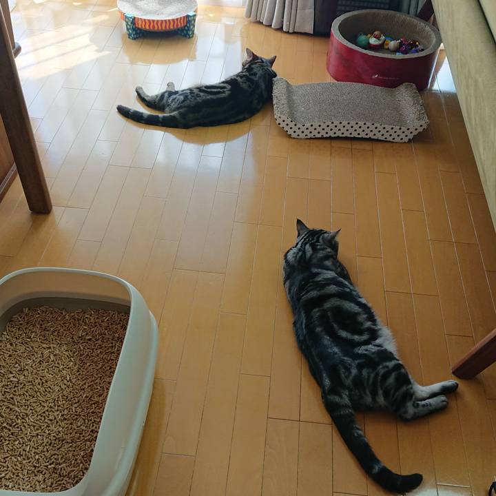 42af2751 2724 46a4 af0b 57f40af17f61 1558595035468