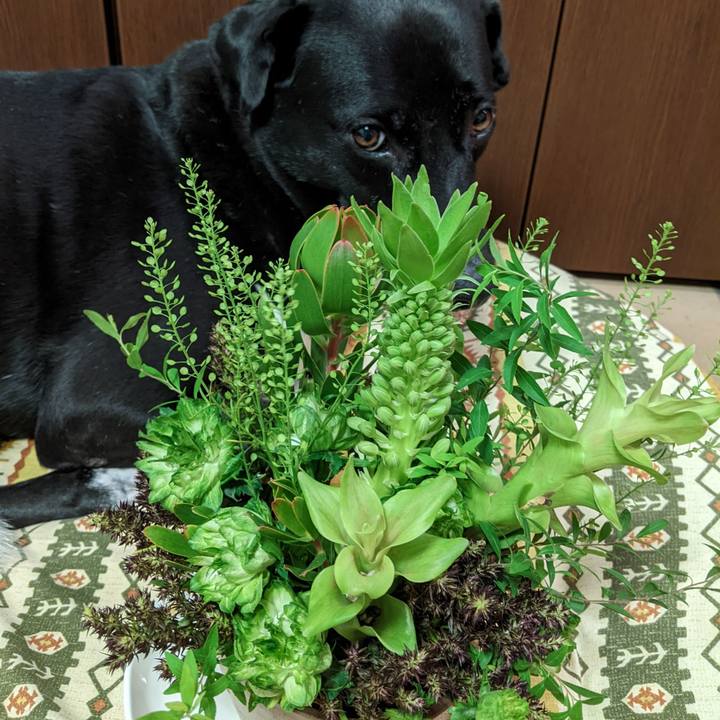 42af42dc 4583 4524 81da ae6bebb41ff4 1660044063965