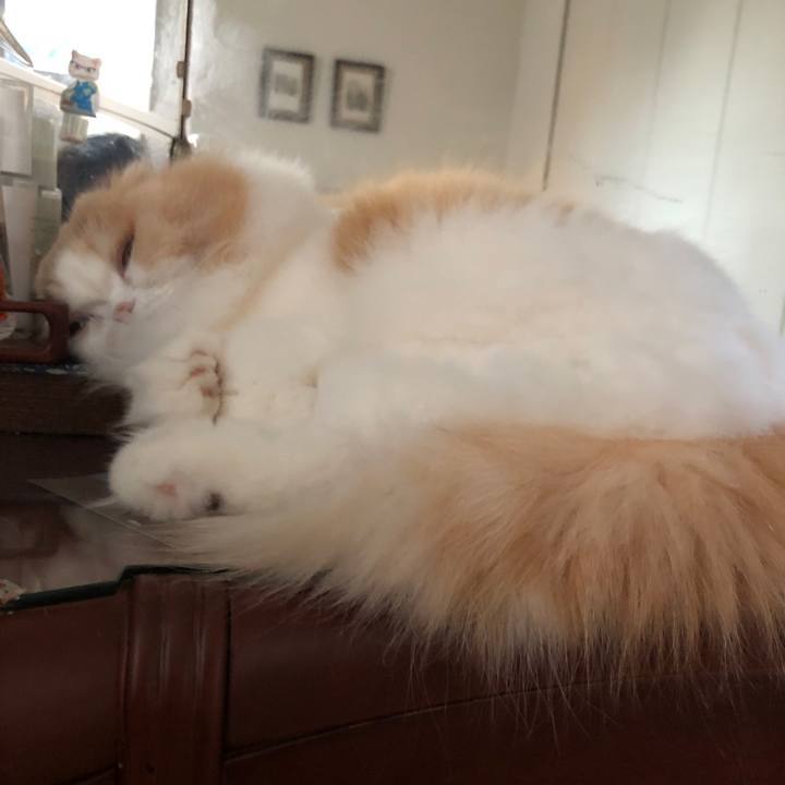 42af5feb e168 41c2 b4ce c7e4a181d8f0 1676067817890