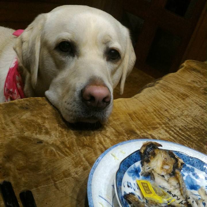 42af75a3 3a4c 4386 badf 3300c80e29c6 1514304722631