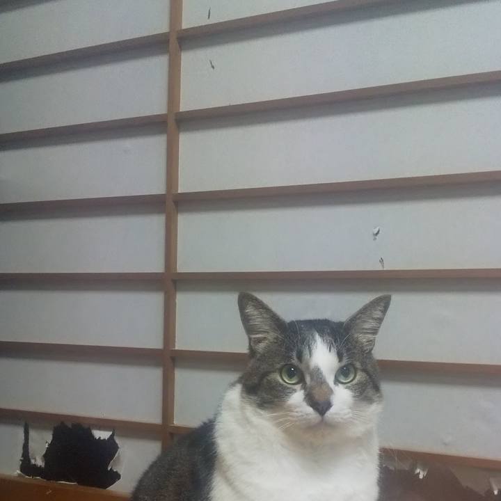 42af7adb daa4 4a4c 9edf 81a2ba715da7 1709545398180