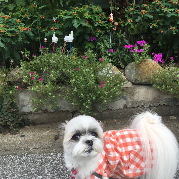 42af7c46 f0b7 470f 910a 5afdc4b91d6b 1537440103667