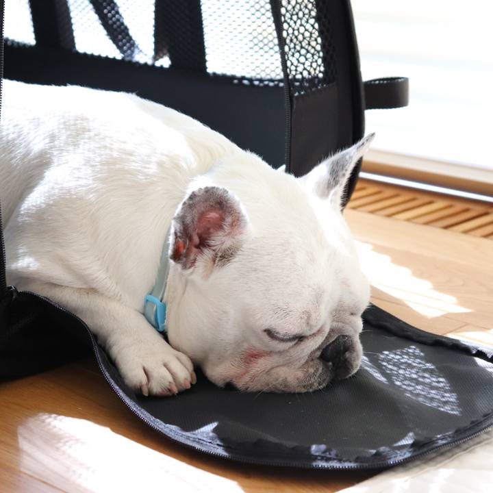 42af7c49 6e93 458f afc6 5df41a76325d 1565484435240