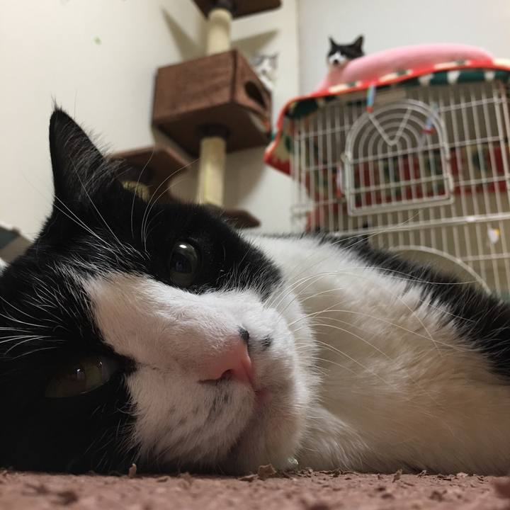 42af7eb4 76ad 44b1 adef da95c0aa6159 1526813861315