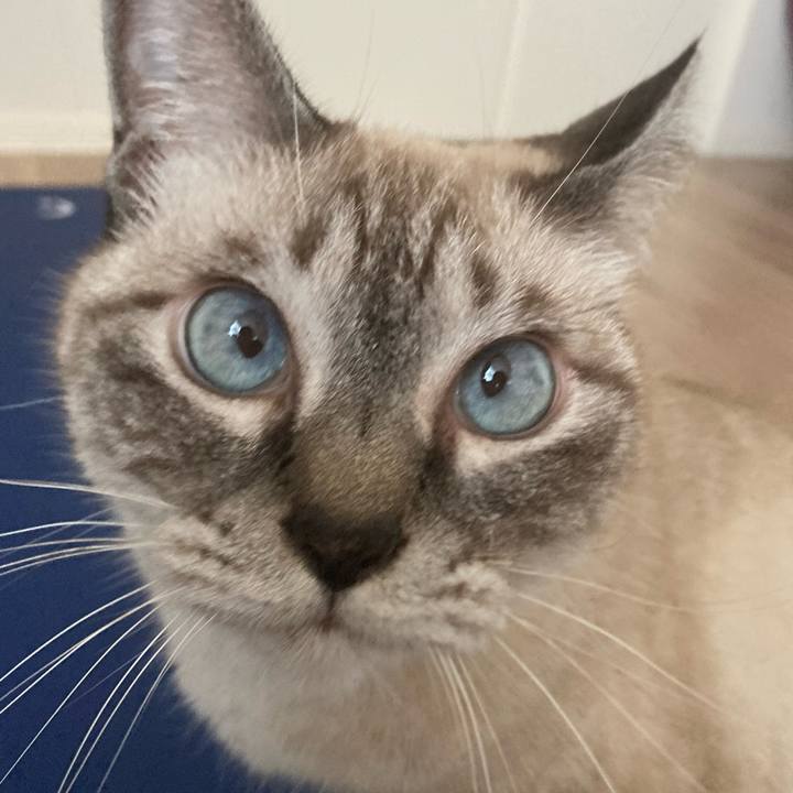 42af8843 7c9b 4d78 ba07 b0e6e8be72cc 1729306947267