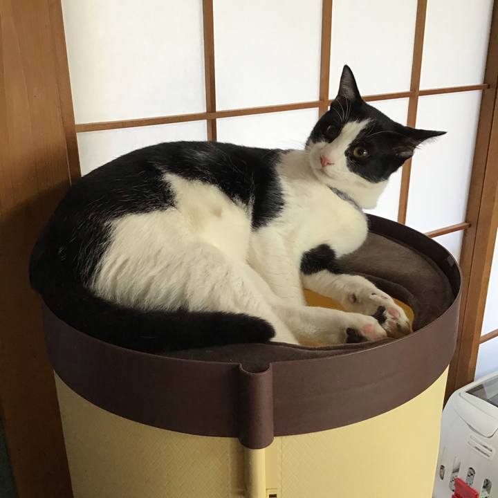 42af90de 2999 4c30 b5ea 33edea10d617 1641686780730