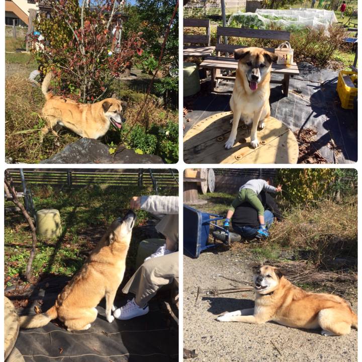 42af9de4 5be3 4019 8b8b 15308090f859 1540725559630