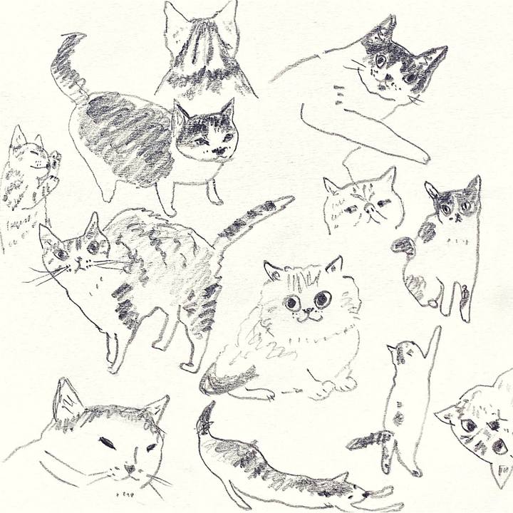 42afd49f 486c 421a 98cf b3326f5e2e6d 1651967669772