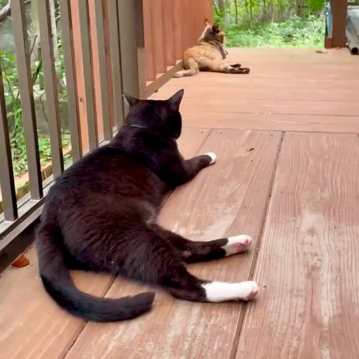 42b01b9e 6fef 4d7f b1cd cc4b49d815f2 1751078712500