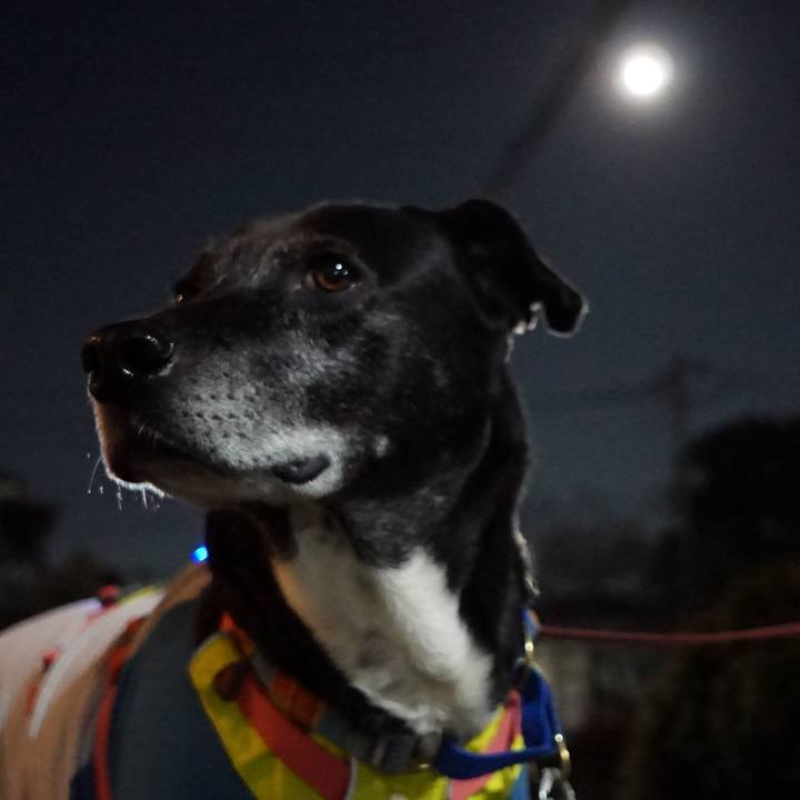 42b02790 9456 441f bb9b 650f611fcf52 1769950142446