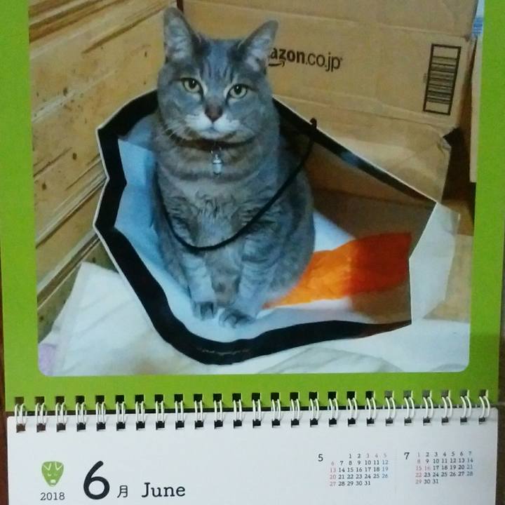 42b0575a 2786 4e98 a9de 36375db1916c 1527853891694