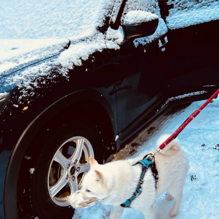 42b05b47 abb9 481c a9a5 09423078ebec 1733869307806