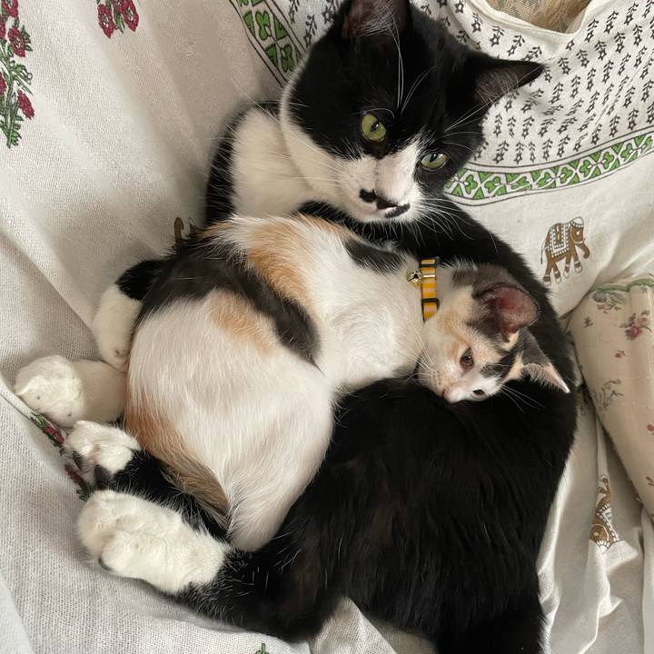 42b07a04 46e2 4930 a162 4e55df839edc 1659506613328