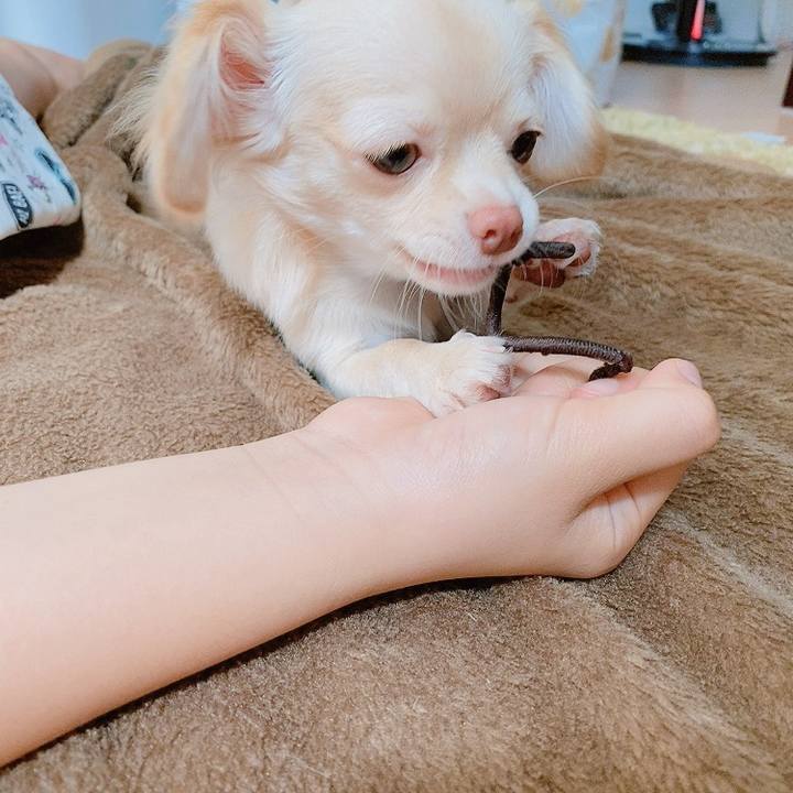 42b0aaa3 d307 4f35 8582 7966ac906f65 1596339654785