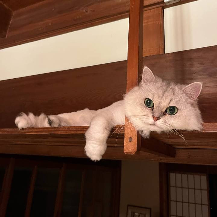 42b0dade 2b11 4674 b8b5 f54189a40cdc 1664619686359