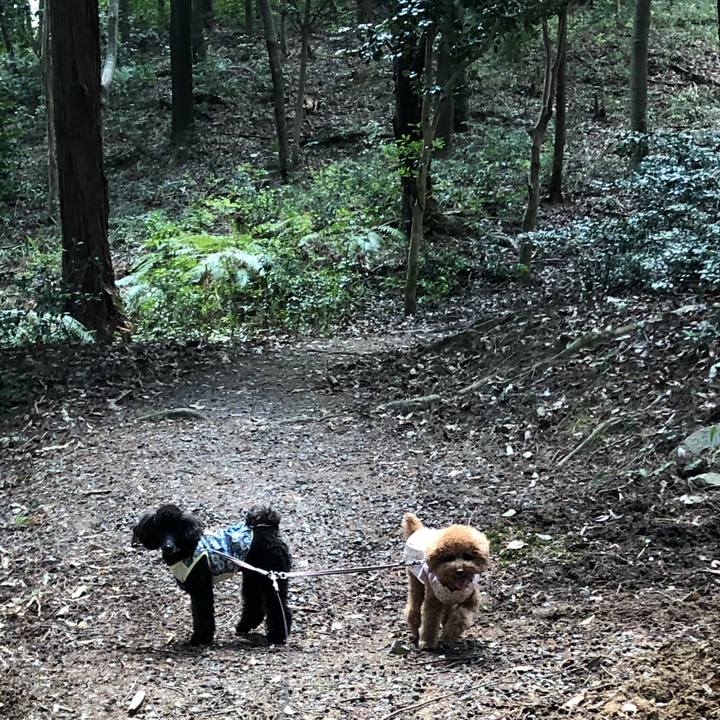 42b0f03c 78fc 46de 867e 2ada455091a9 1586519148338