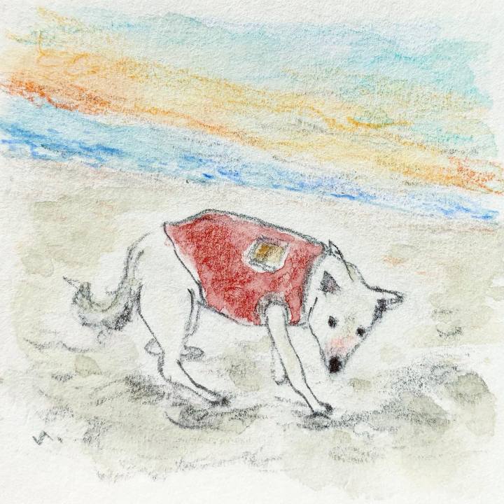 42b12a48 c094 4cf9 a36c 801dcbb5f1d4 1637199730595