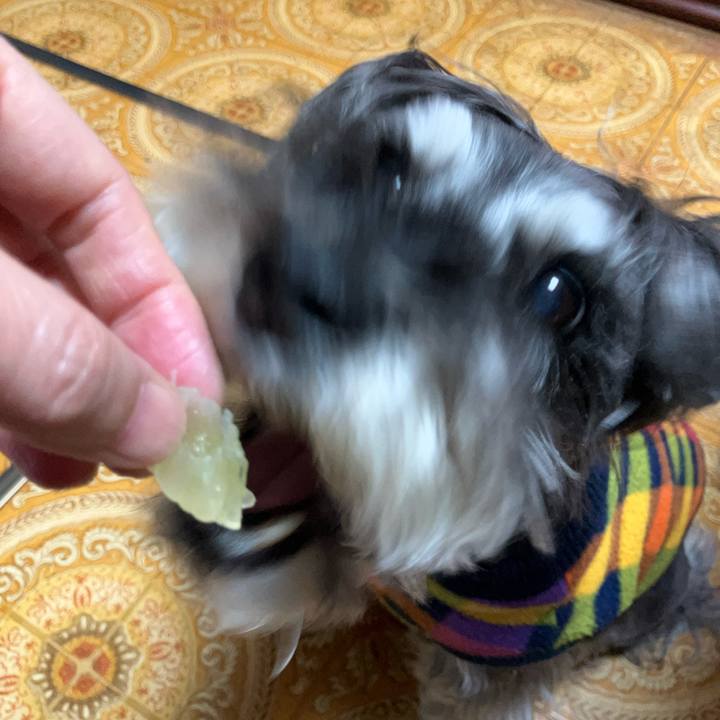 42b13378 5fde 4cdb 9ba3 5b22063bd044 1745899708016