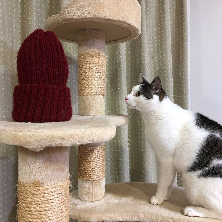 42b136c1 eb93 45e9 8676 487362b9cf4e 1671713732445