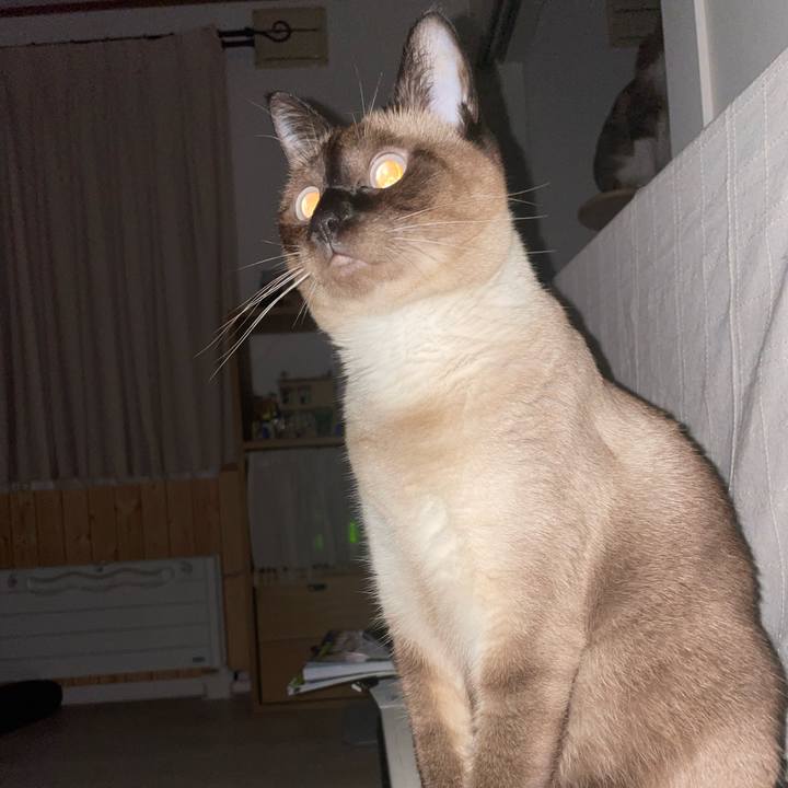 42b14338 325c 4814 b747 14b19c49fa34 1756154625782