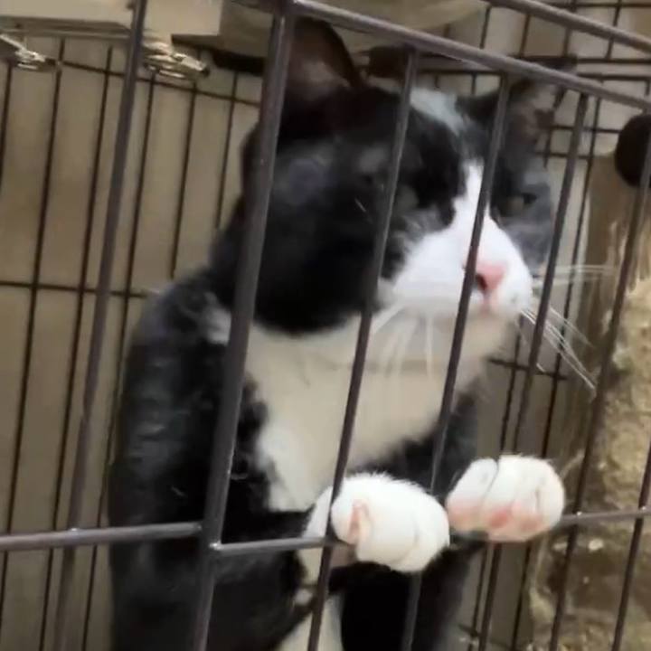 42b147f2 65a2 476f 9d07 d0bb46b5e103 1741340158989