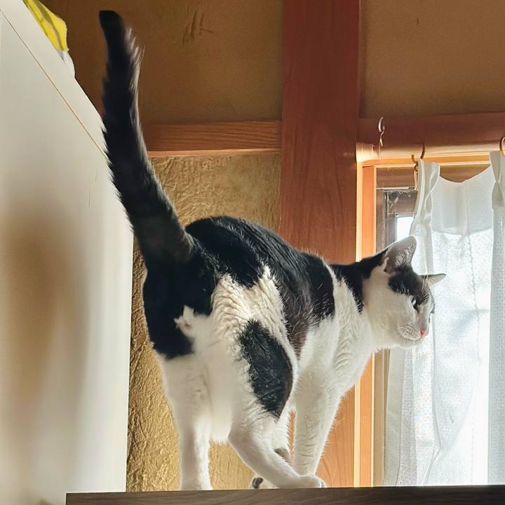 42b184f9 ce29 458c 9762 d87df6bc95ac 1702259947864