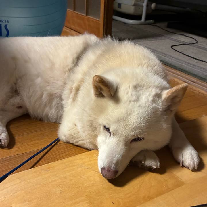 42b19237 4a98 410e a26a 1367408216f4 1774086739028