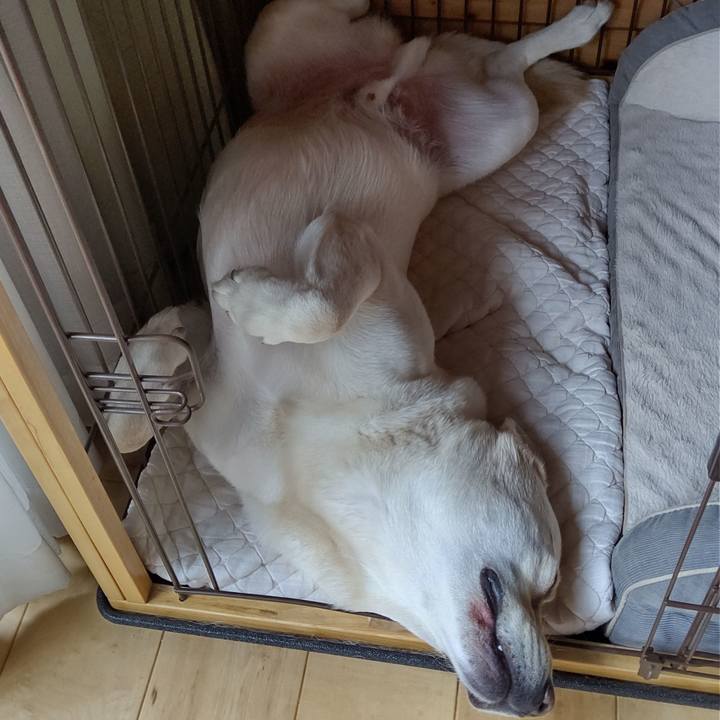 42b1975f 3b66 4280 9917 8e44c5a52037 1592792638899