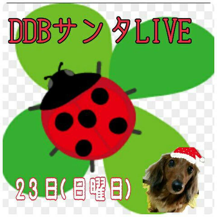 42b1cbba ca3b 445c 80a0 0f2727152d3d 1544369713924