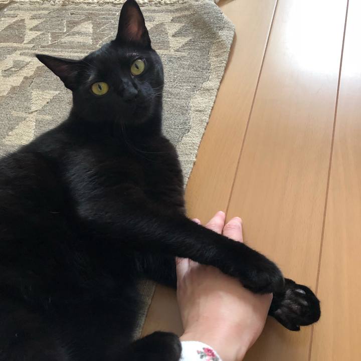 42b2013d 8a20 44b7 91b7 f6d21c1e91da 1539504448640