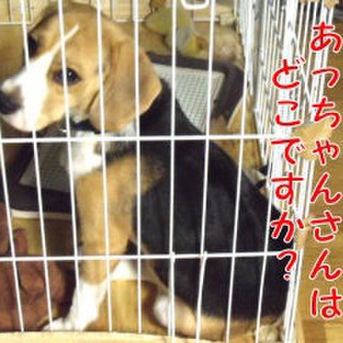 42b2054d ecf5 42c2 877d 66c65bd43898 1695168642695