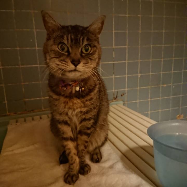 42b238ec e5a8 4e56 a8b2 b6ebf785ca7d 1580636777591