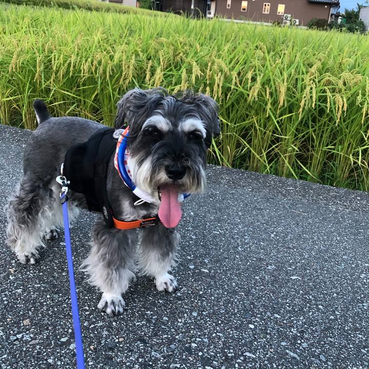 42b251ae 65f7 444e aa98 ee3a6647cfaa 1692275635816