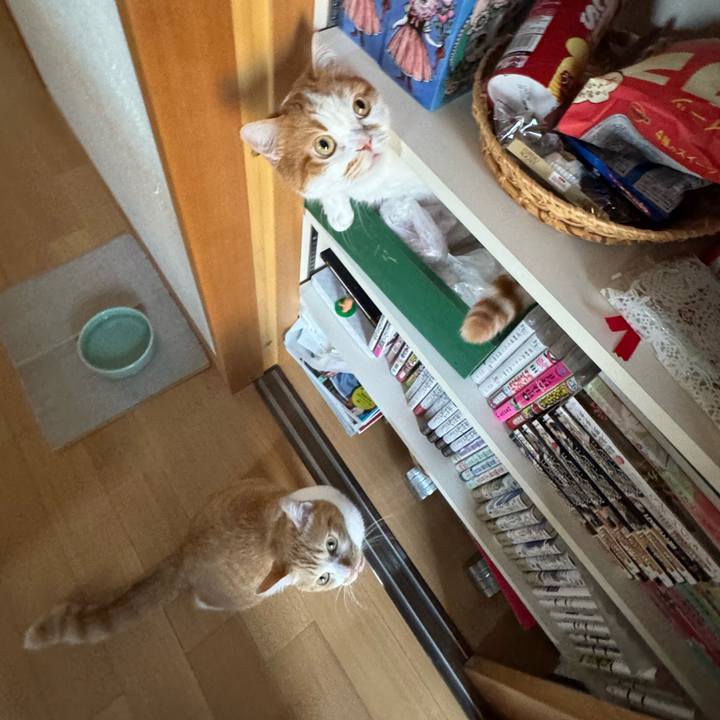 42b25728 7d51 48f7 9b1d 6c4f651e646a 1774355697903