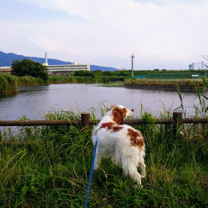 42b25912 89e6 4dd8 a538 0b3de376cd7d 1560252713446