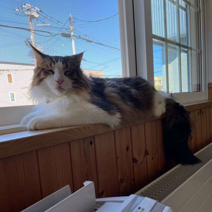 42b25aef cfde 4869 a15a c7a1051e04e9 1653689504824