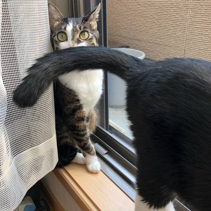 42b296f6 679f 41ad a0df 05ee15ba03e6 1541467978045