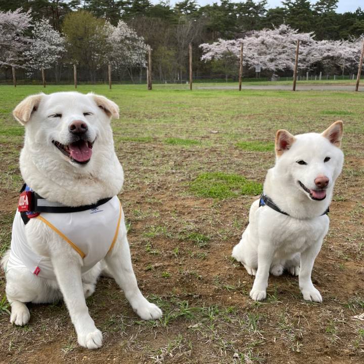 42b2e0dd ab89 445f 905b 65b5f7394a84 1650864737537